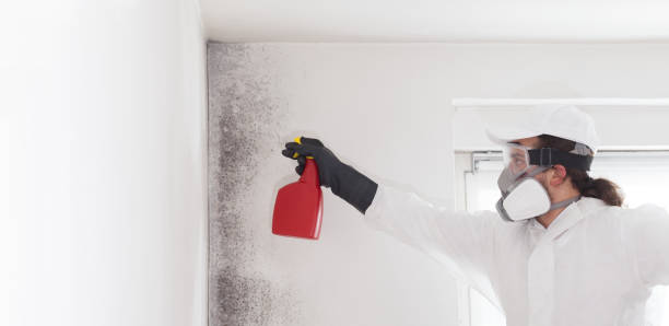 Best Crawl Space Mold Removal  in Centerville, GA