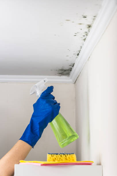 Best Emergency Mold Removal  in Centerville, GA