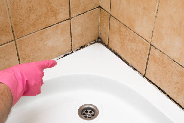 Best Mold Remediation  in Centerville, GA